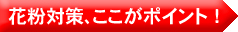 花粉対策、ここがポイント！